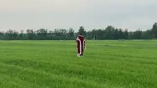 Увидели летом Деда Мороза