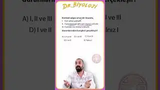 Hedef 500 Endokrin Sistem 10. Soru