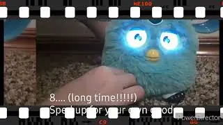 Top 8 longest furby connect farts
