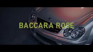 Emin Nilsen - Baccara Rose