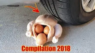 Car vs Chicken Compilation Experiment: August 2018 + slowmo: 车vs鸡