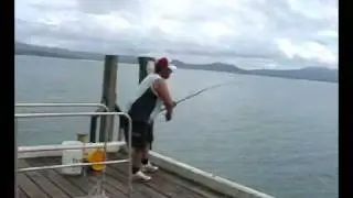 FISHING SPORT FISHING AT DUNK ISLAND