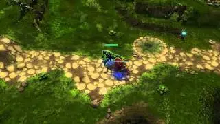 HoN 3.5: The Carry's Calling - Dev Blog