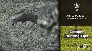 When and Where to Hunt Whitetails in October | Midwest Whitetail