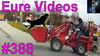 Eure Videos 