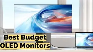Top 3 Best Budget OLED Monitors of 2024