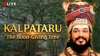 #Fulfill Your #prayer: LIVE Darshan of #Kalpataru in Adi #Kailasa | #wish-Fulfilling #Banyan Tree