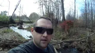 Gold in my back yard 2016