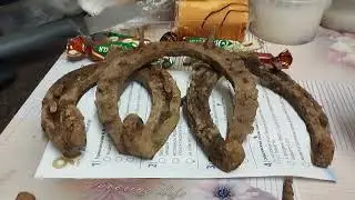 Три с половиной подковы и Елизавета Петровна ...