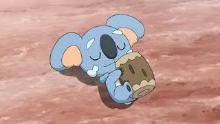 THEY SLEEPIN ON KOMALA