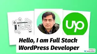 WordPress Full Stack Developer