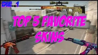 TOP 5 FAVORITE CS:GO SKINS (2020)