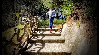 ¿Fue Pedro El Primer Papa?