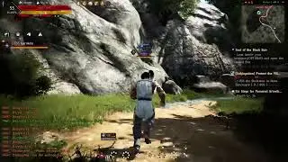 Black desert