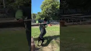 Well have the tables have turned 🫣 #doberman #dog #belgianmalinois