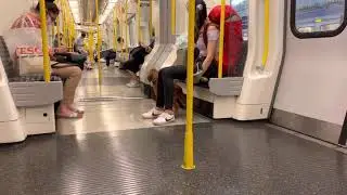 Dog behave better young men on the London Tube