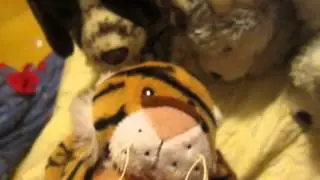 6 new webkinz