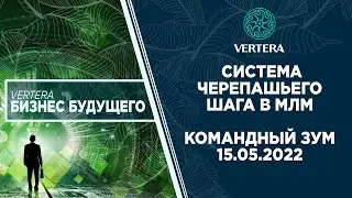 СИСТЕМА ЧЕРЕПАШЬЕГО ШАГА В МЛМ | КОМАНДНЫЙ ЗУМ 15.05.2022