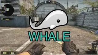 Random CS:GO Shit (1)