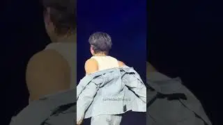 Yes, that was me. #straykids #skzpalooza #skzchangbin #straykidschangbin #lollapalooza2024