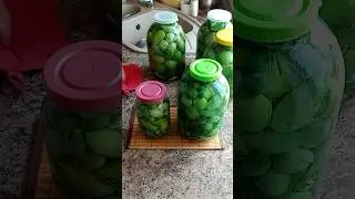 Зеленые, соленые помидоры. 27.08.2024г