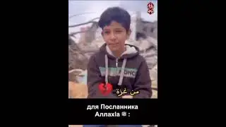 Палестина 🇵🇸