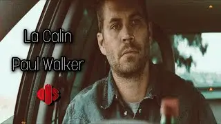 Paul Walker - La Calin