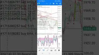 Про золото, биткоин, чуть-чуть об альте ... обновление ситуации по прогнозам