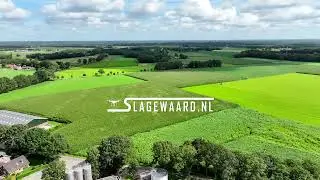 Onstnapte pink in het Maisveld - Noordijk (4K UHD)
