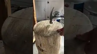 Pounding a bottle cap into a piece of wood! #shorts #woodworking