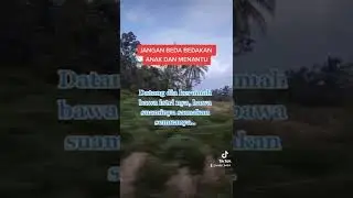 Mnantu gmana skapnya tergantung bgaimana skap mrtua terlebih dahulu, terkadang cucu²pun dibedakan.