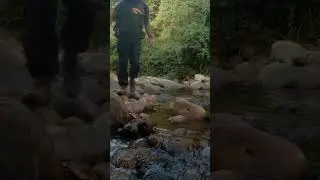 Ovo je uzitak