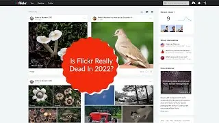 Can You Still Use Flickr In 2022?