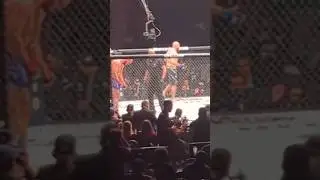 Шамиль Газиев VS Мартин Будай ! БОЙ в ЮФС !