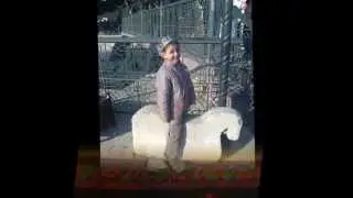 rusik totu