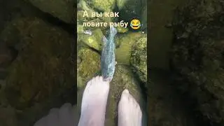 #рыбалка #смехдослез #позитив