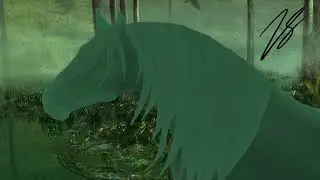 Animations