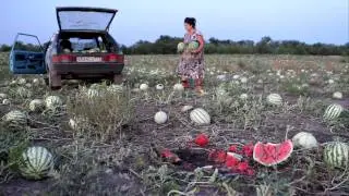 Брошенная бахча в хуторе Сеньшин