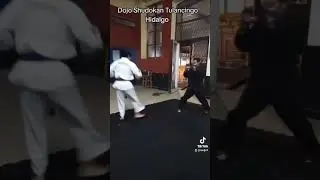 Dojo Shudokan internacional Tulancingo Hidalgo