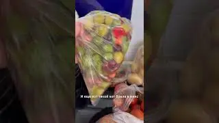 23 февраля 2024 г.