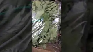 10 июня 2020 г.