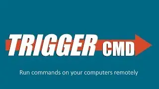 TRIGGERcmd Demo and Instructions