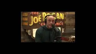Goin' Hard on Mushrooms #shortsvideo #shorts #jre #joerogan #mushroom