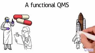 What is a quality management system (QMS)?
