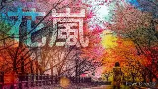 花嵐　#popularmusic