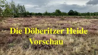 Sielmanns Döberitzer Heide 4k