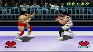 (PSX) WCW vs. The World - Lucha Libre de la buena
