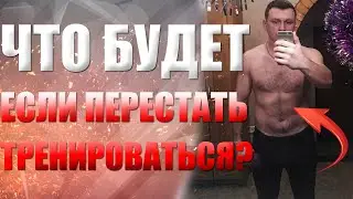 Что будет, если перестать тренироваться? (ТРЕНИРОВКИ, ПИТАНИЕ)