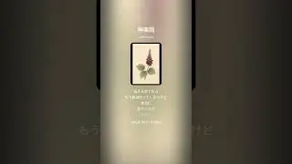 神楽岡