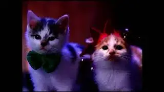 Fatboy Slim - The Joker